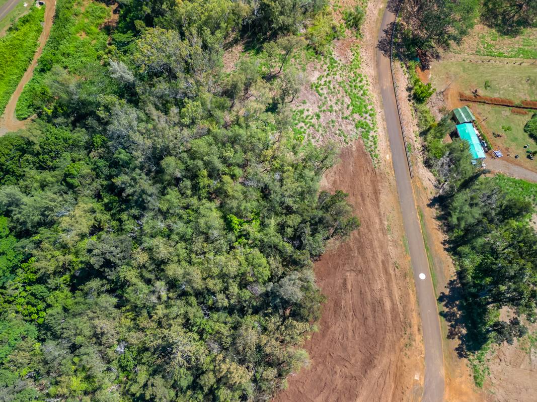 St, Unit 8A Kapaa, HI 96746 - Photo 2 of 6 an aerial view of a house with a yard