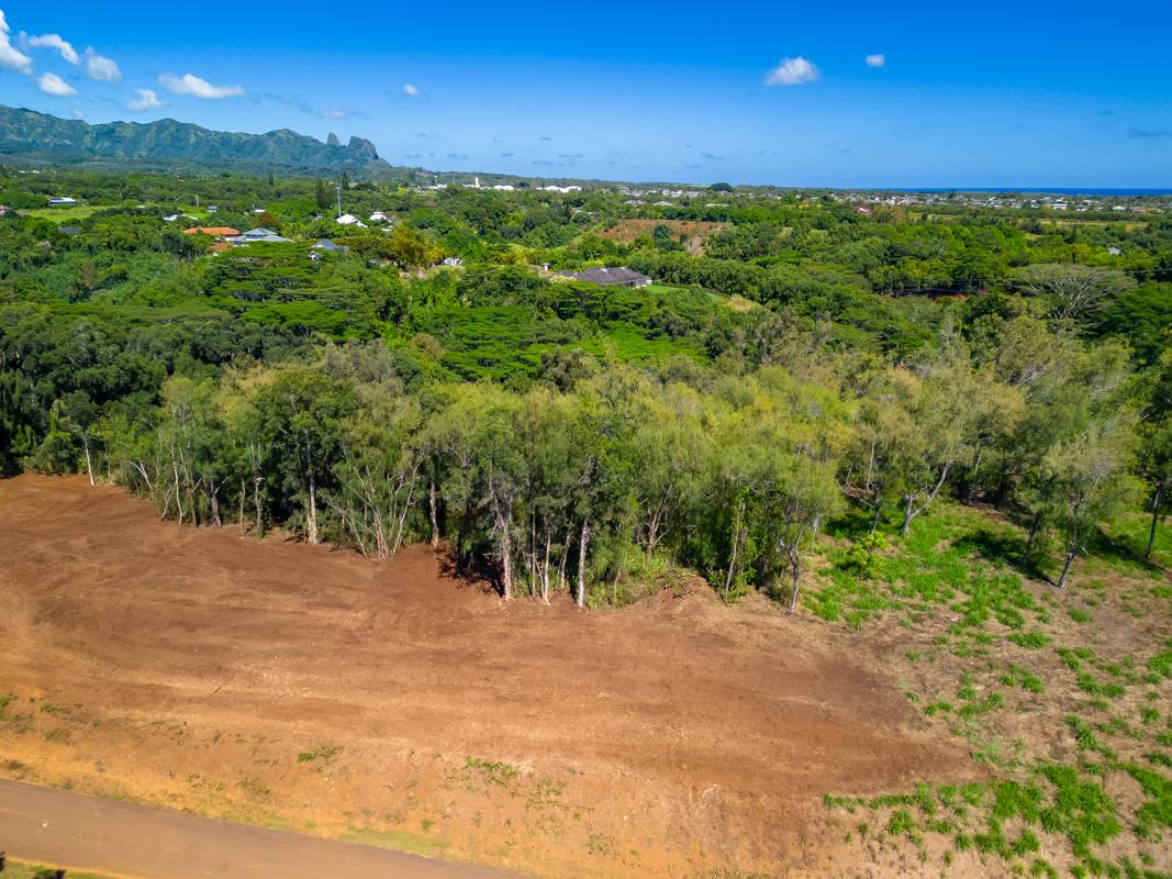 St, Unit 8A Kapaa, HI 96746 - Photo 3 of 6 a view of a lush green space
