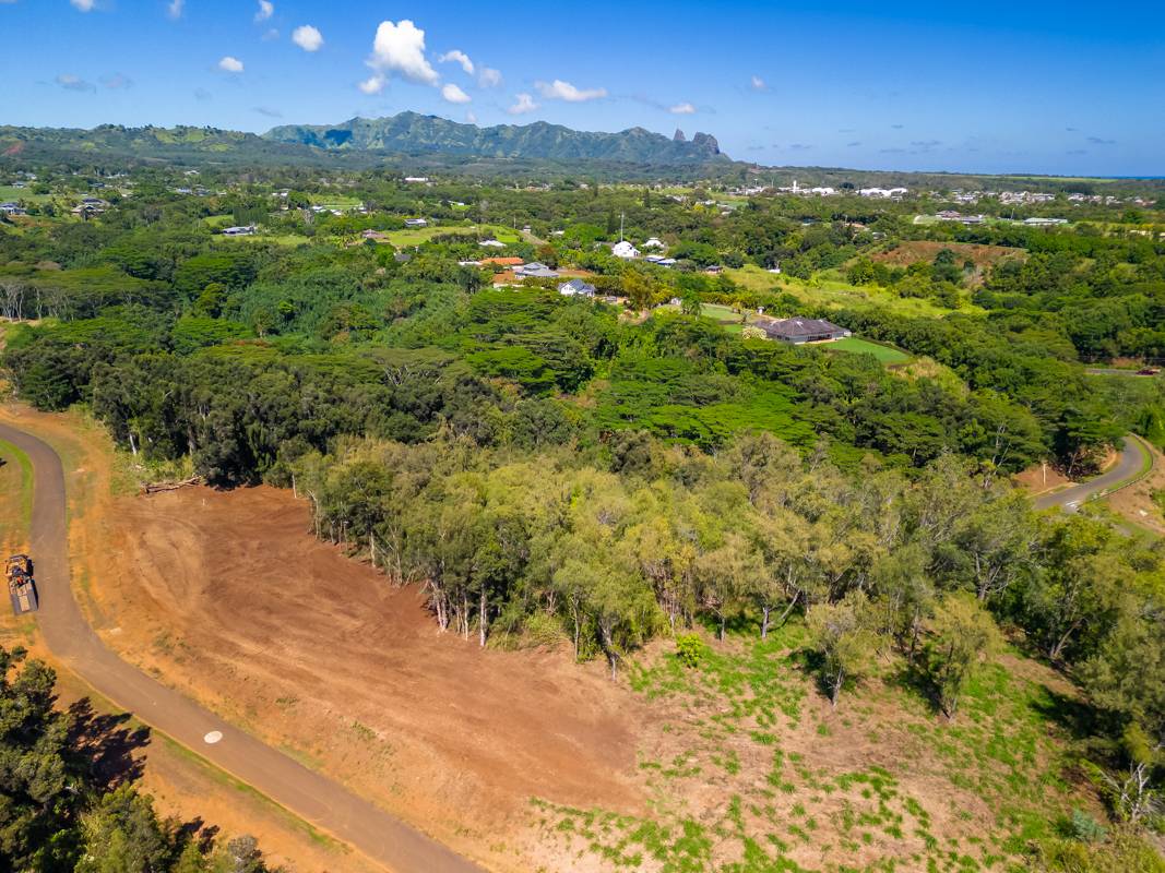 St, Unit 8A Kapaa, HI 96746 - Photo 4 of 6 a view of an outdoor space and mountain view