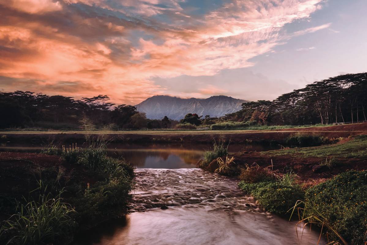 St, Unit 8A Kapaa, HI 96746 - Photo 5 of 6 a view of a lake with a mountain in the background