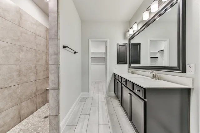 a bathroom with a sink a mirror and a shower