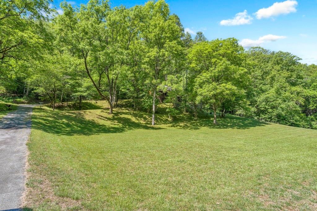 711 Meadow Road Ferguson, NC 28624 - Photo 8 of 34