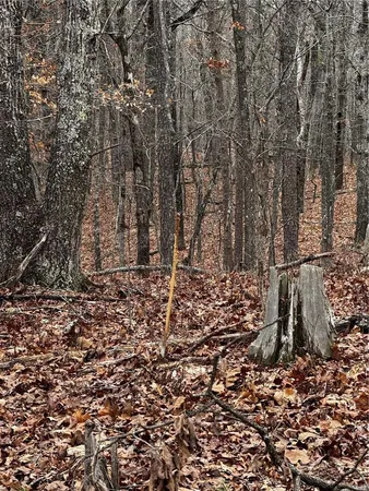 $792,000 | 0 West County Road 224, Clubb, MO 63934