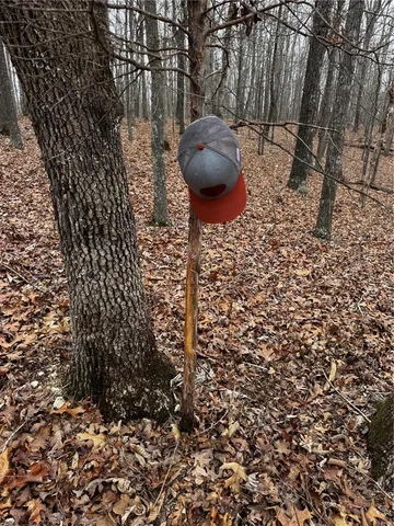 $792,000 | 0 West County Road 224, Clubb, MO 63934