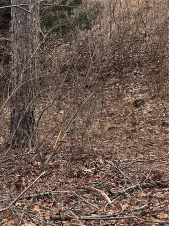 $792,000 | 0 West County Road 224, Clubb, MO 63934