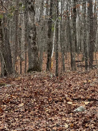 $792,000 | 0 West County Road 224, Clubb, MO 63934