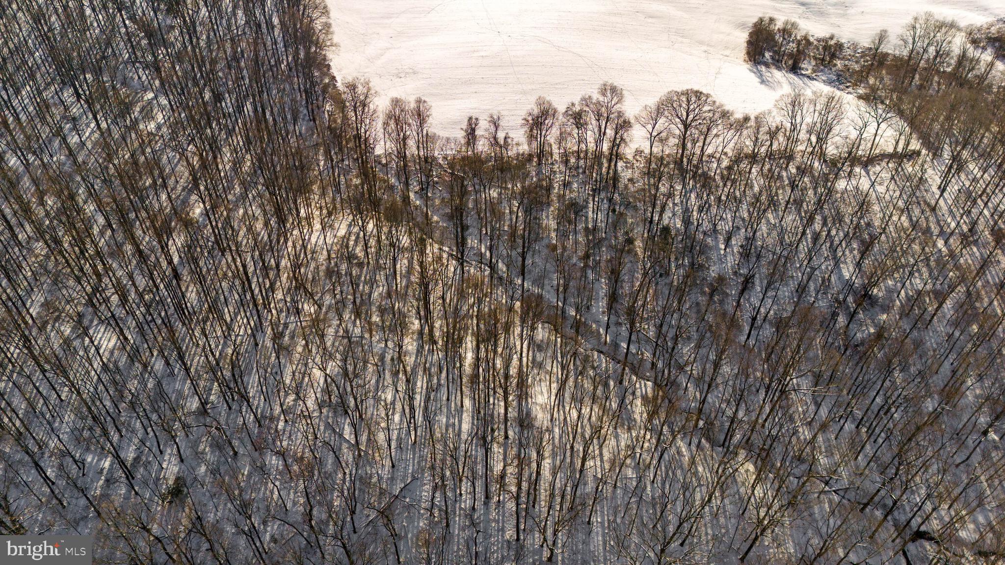 Wilson Road White Hall, MD 21161 - Photo 11 of 17