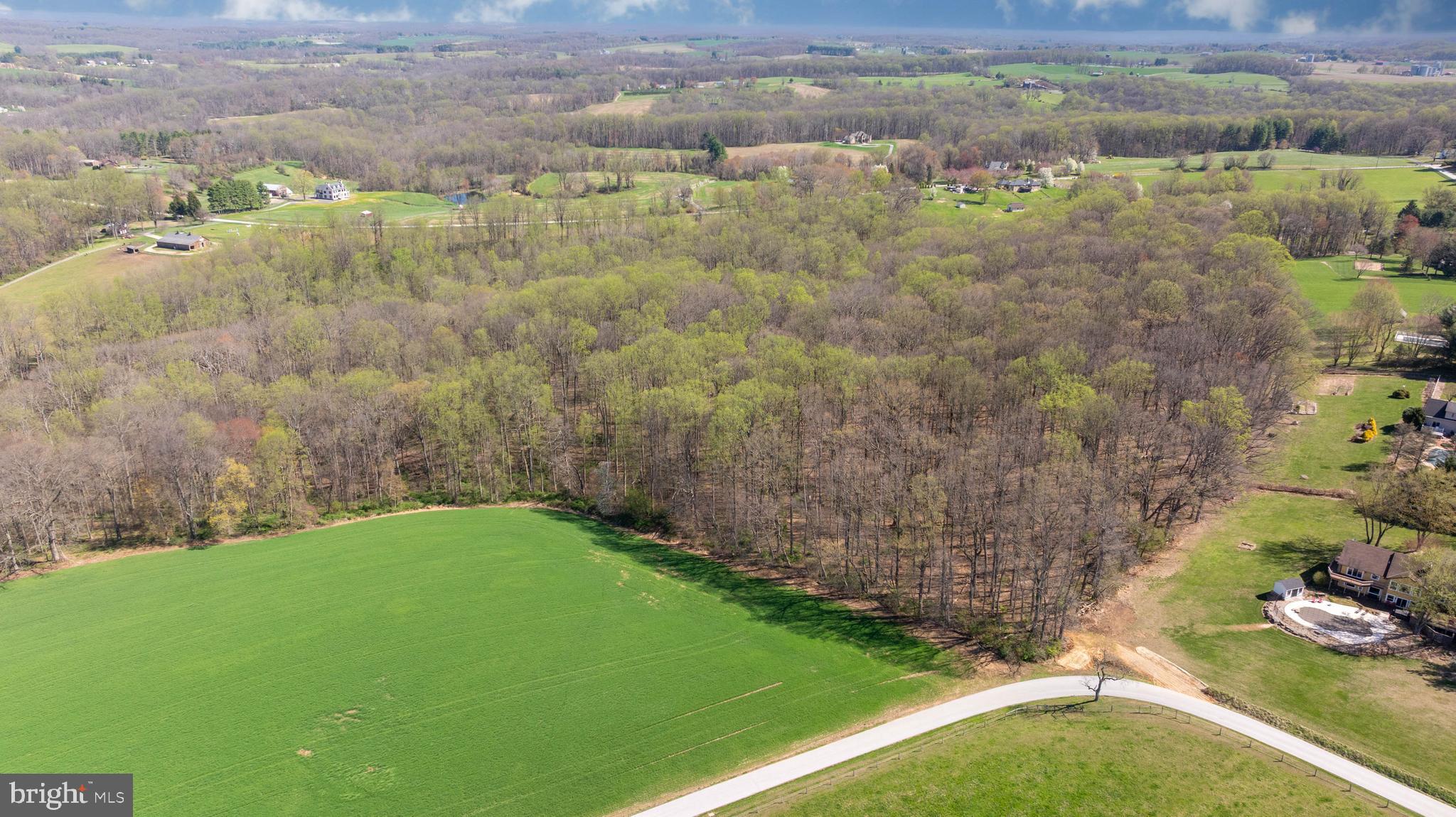 Wilson Road White Hall, MD 21161 - Photo 12 of 17