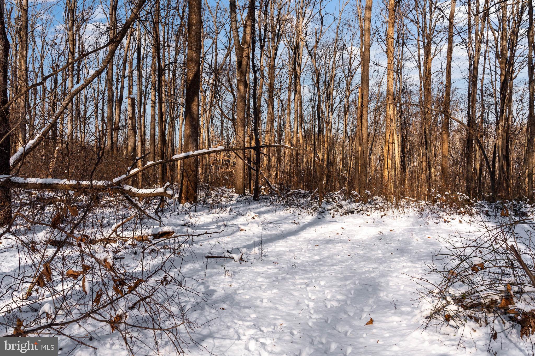 Wilson Road White Hall, MD 21161 - Photo 13 of 17