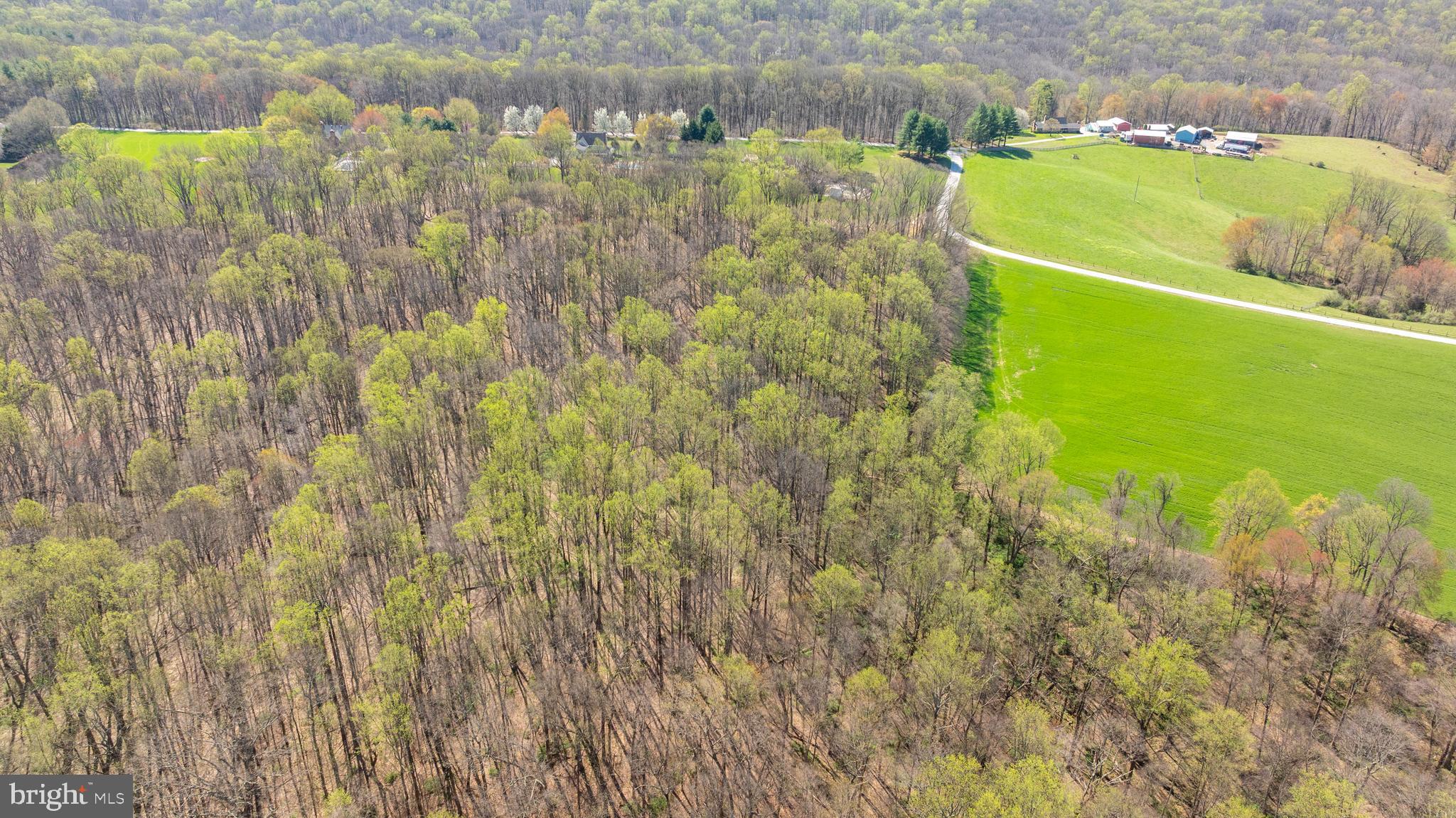 Wilson Road White Hall, MD 21161 - Photo 14 of 17