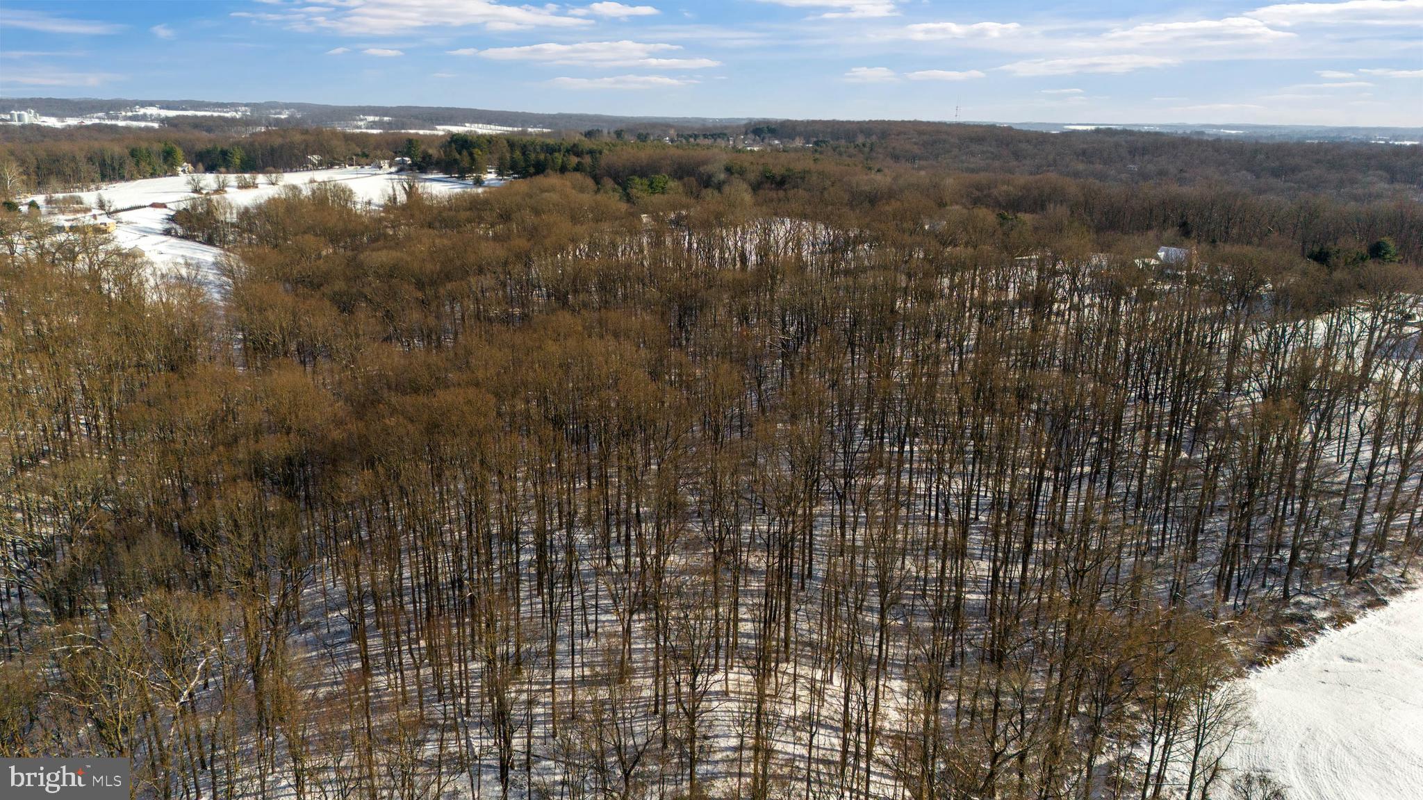 Wilson Road White Hall, MD 21161 - Photo 14 of 17