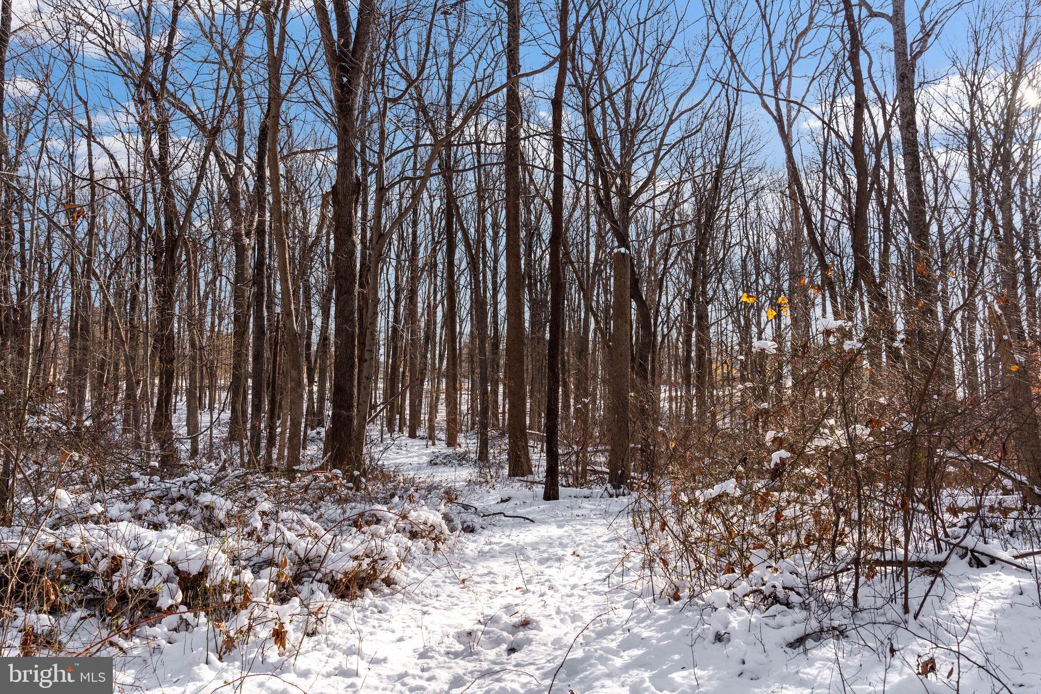 Wilson Road White Hall, MD 21161 - Photo 15 of 17