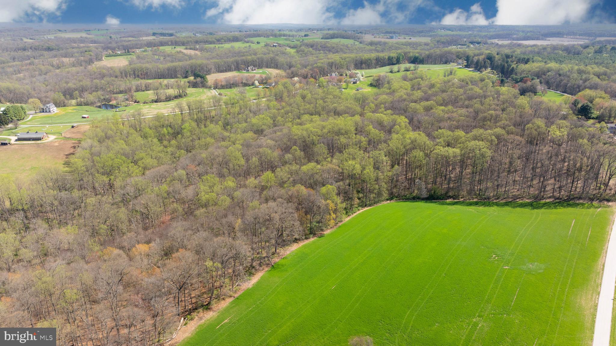 Wilson Road White Hall, MD 21161 - Photo 15 of 17