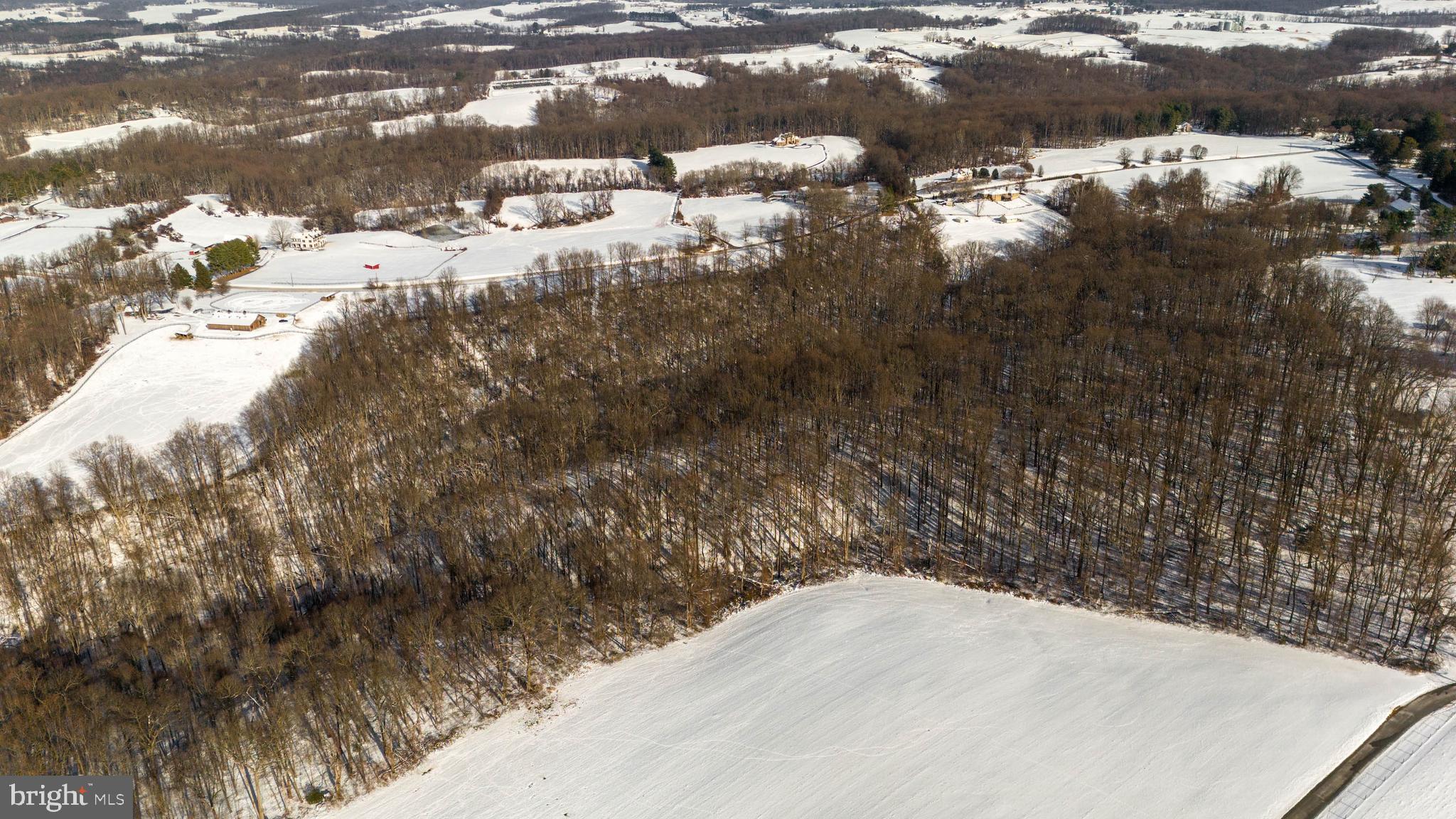 Wilson Road White Hall, MD 21161 - Photo 16 of 17