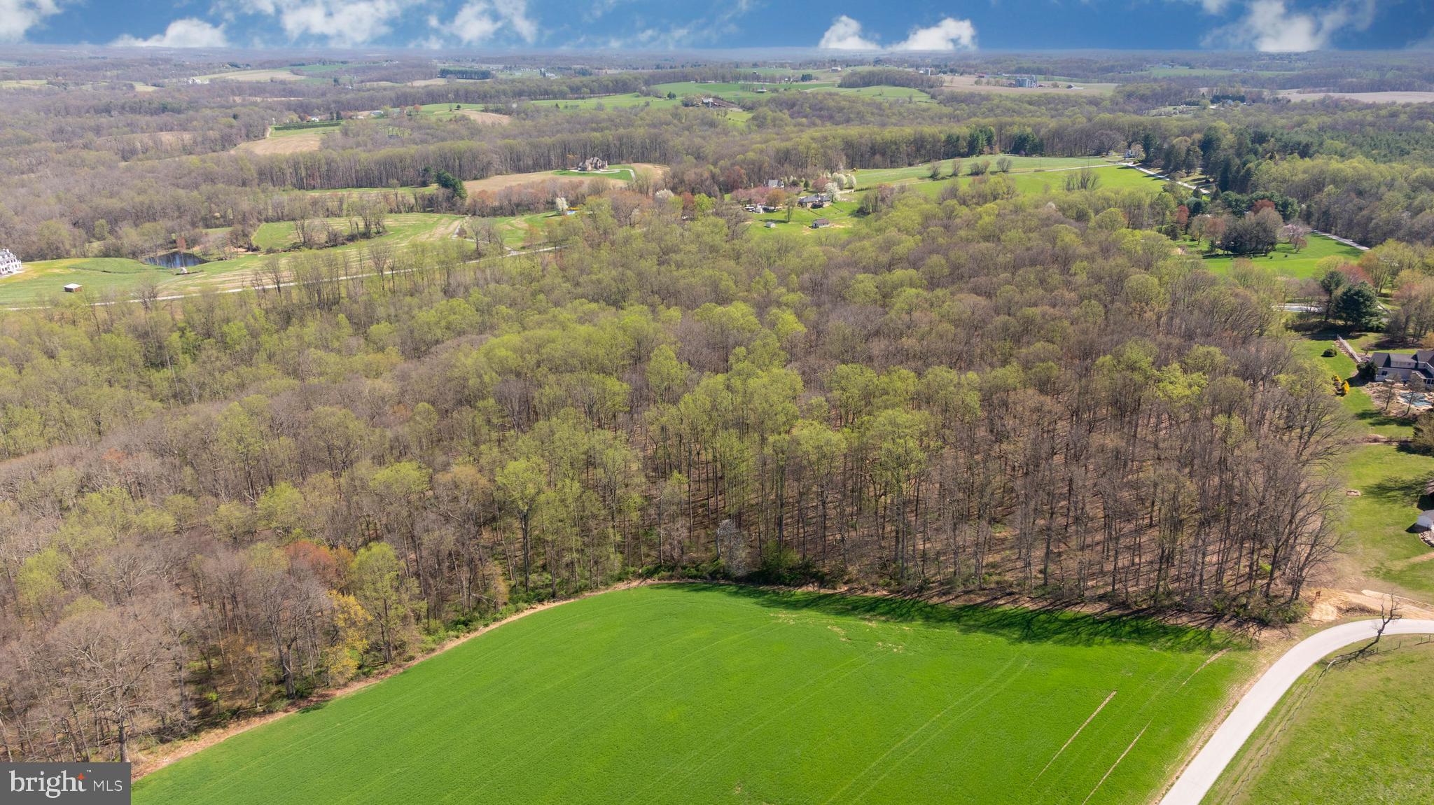 Wilson Road White Hall, MD 21161 - Photo 2 of 17