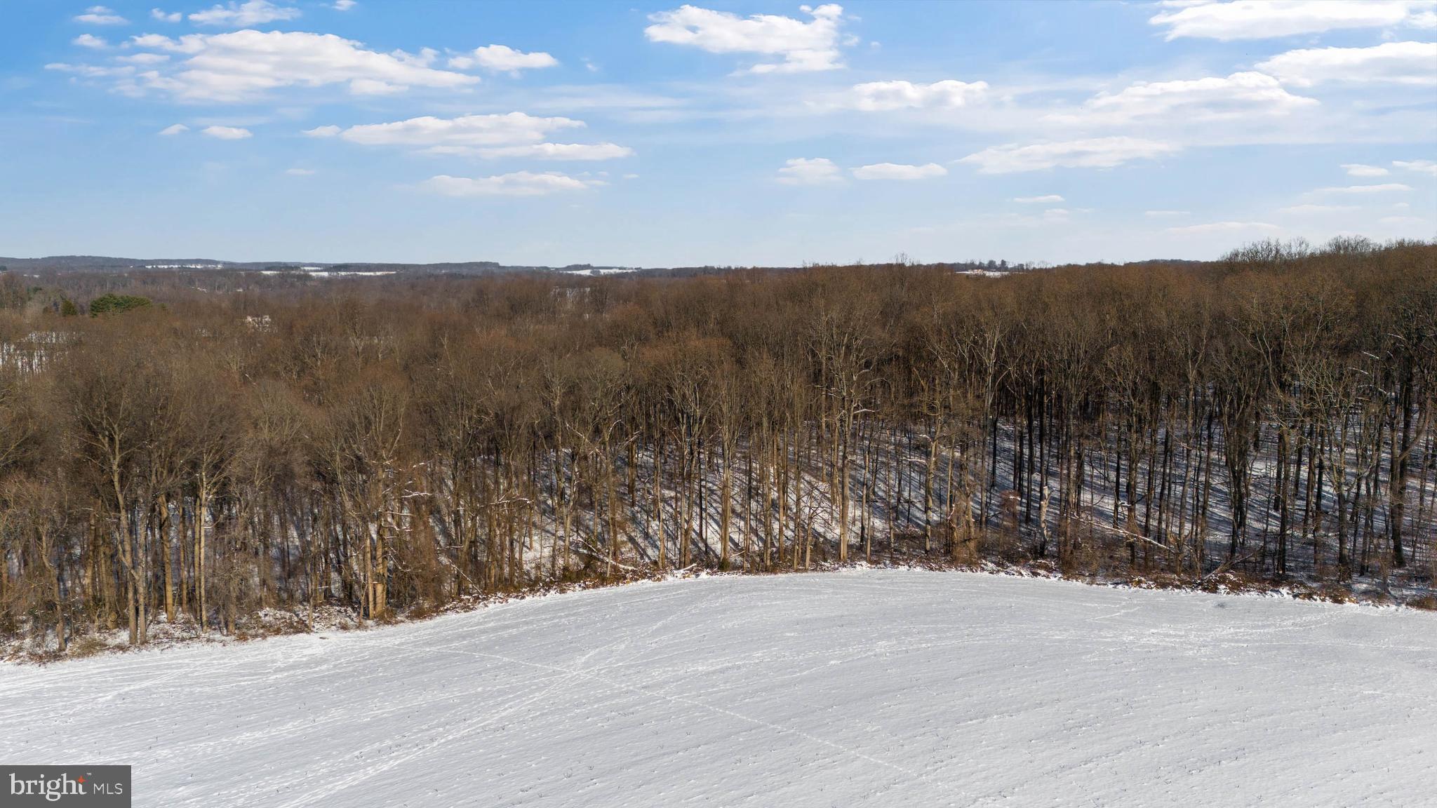 Wilson Road White Hall, MD 21161 - Photo 3 of 17