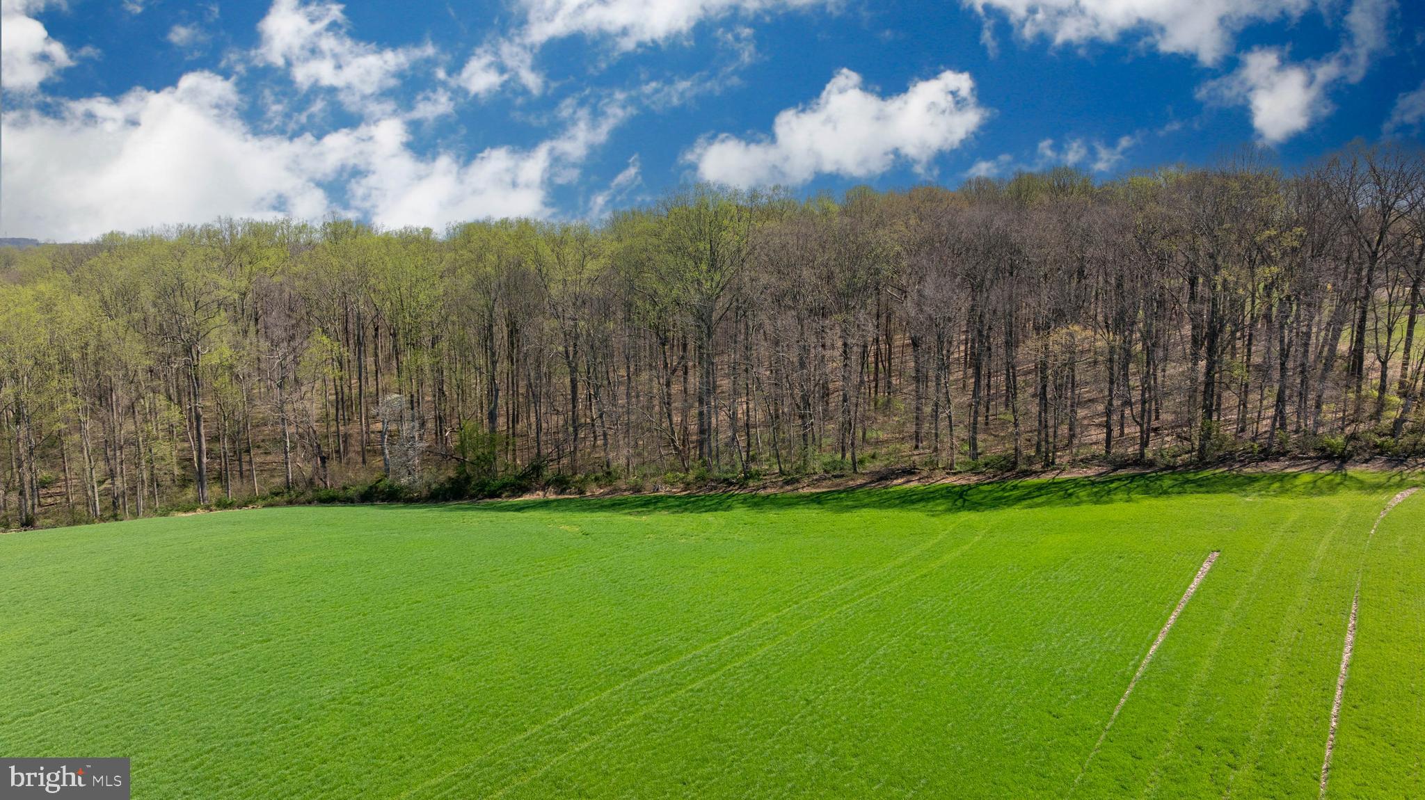 Wilson Road White Hall, MD 21161 - Photo 4 of 17