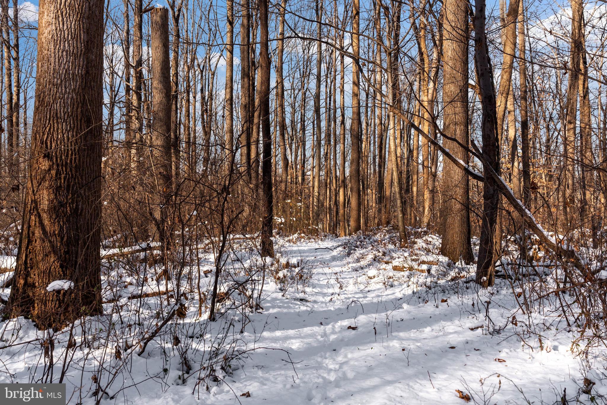 Wilson Road White Hall, MD 21161 - Photo 4 of 17