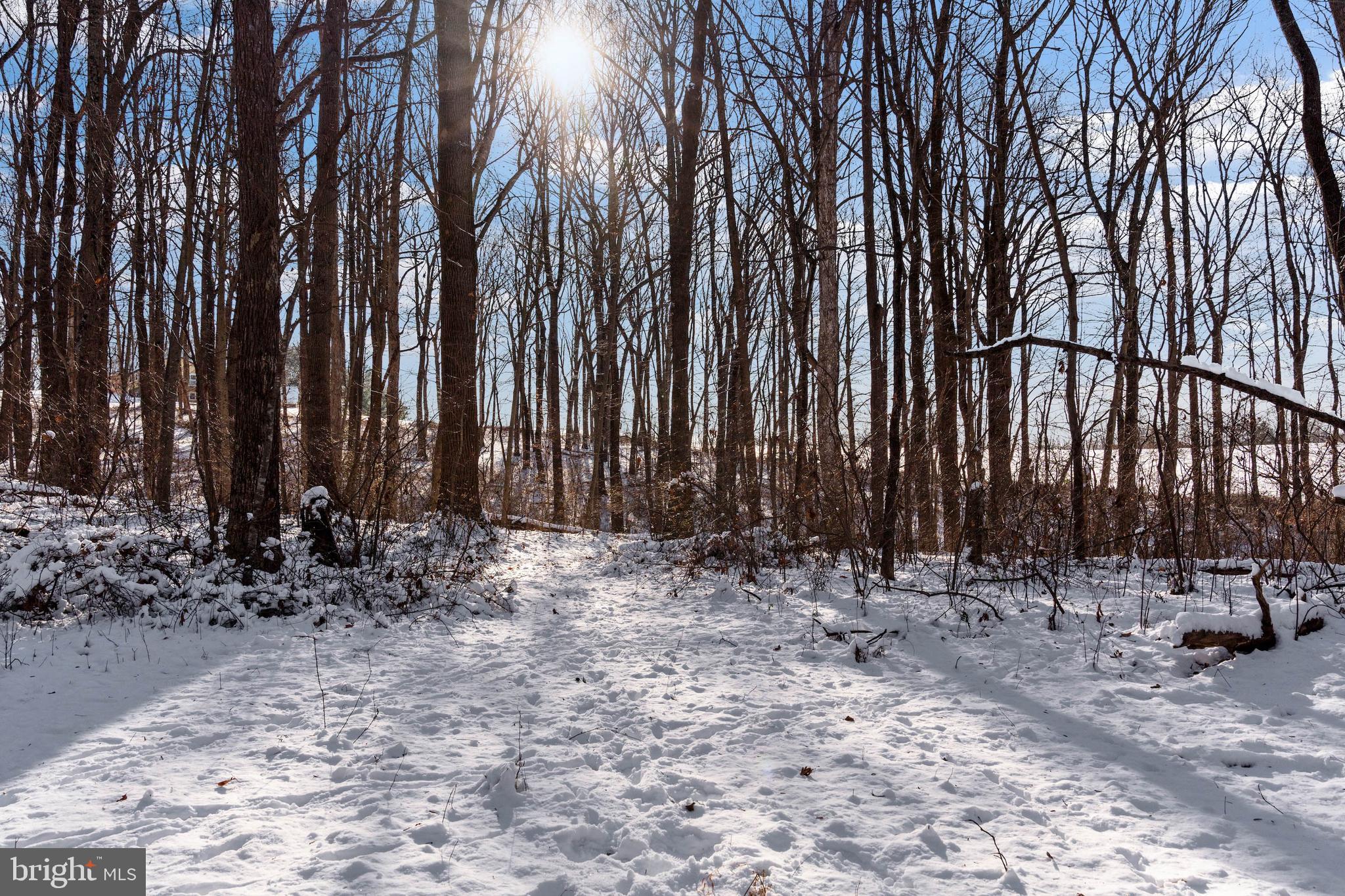 Wilson Road White Hall, MD 21161 - Photo 6 of 17