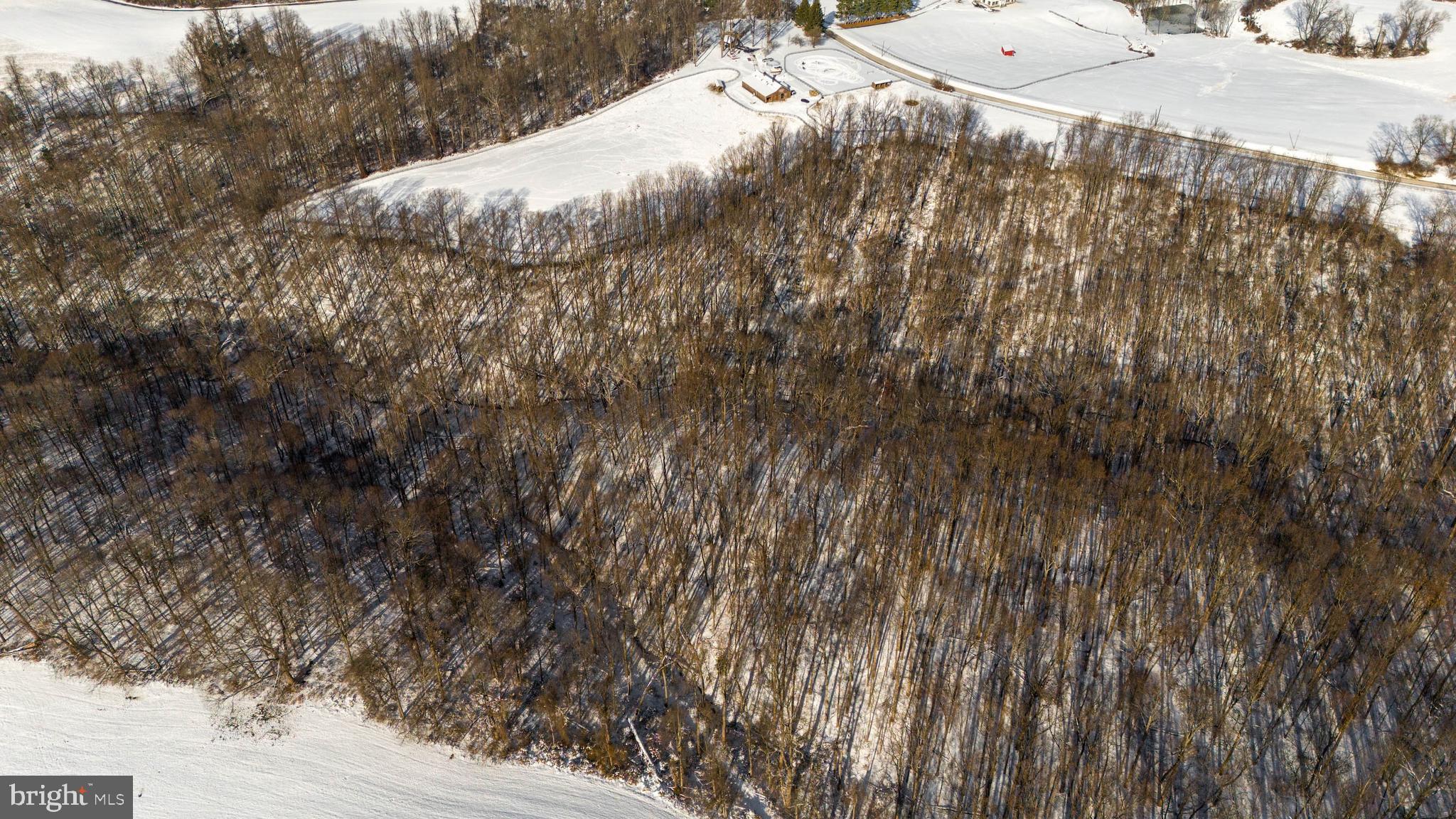 Wilson Road White Hall, MD 21161 - Photo 7 of 17