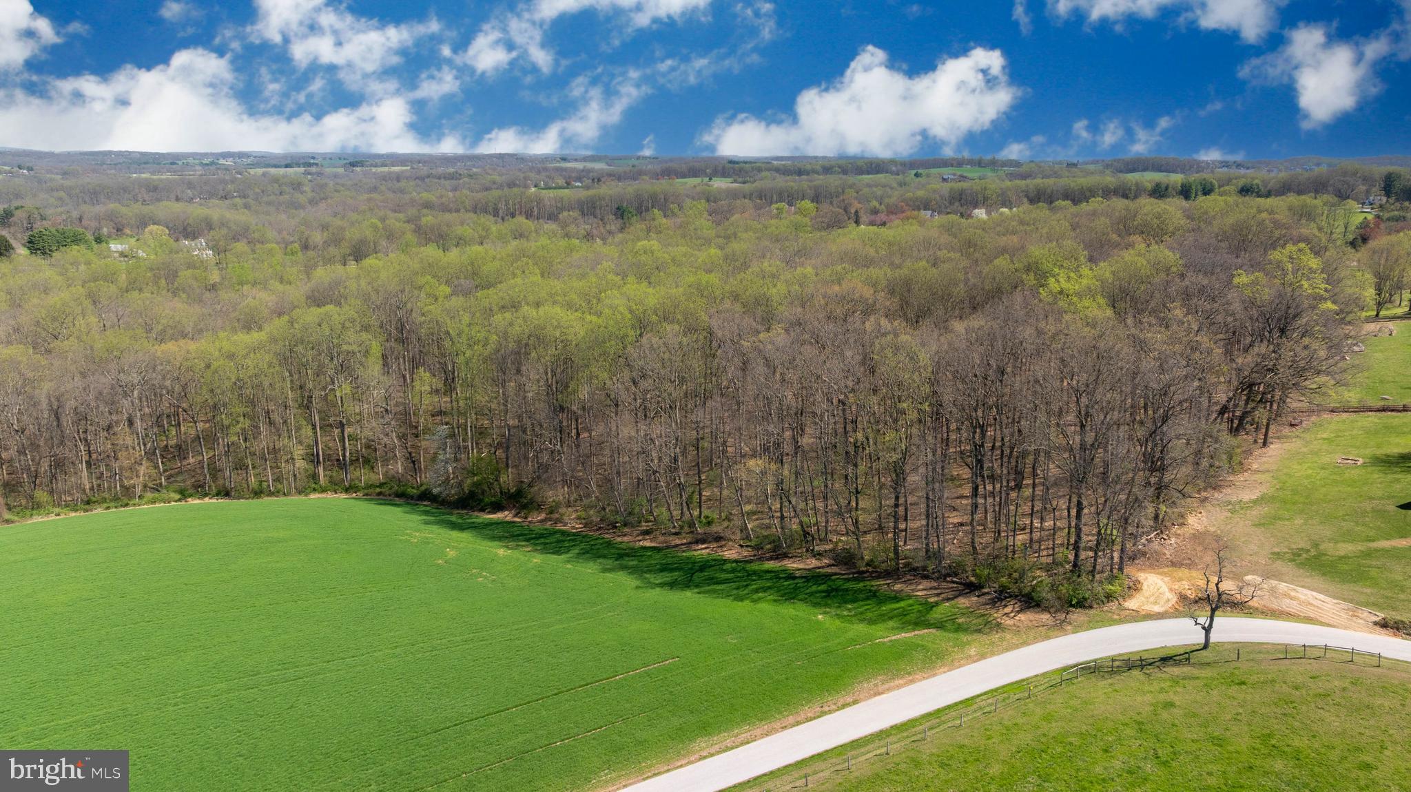 Wilson Road White Hall, MD 21161 - Photo 8 of 17
