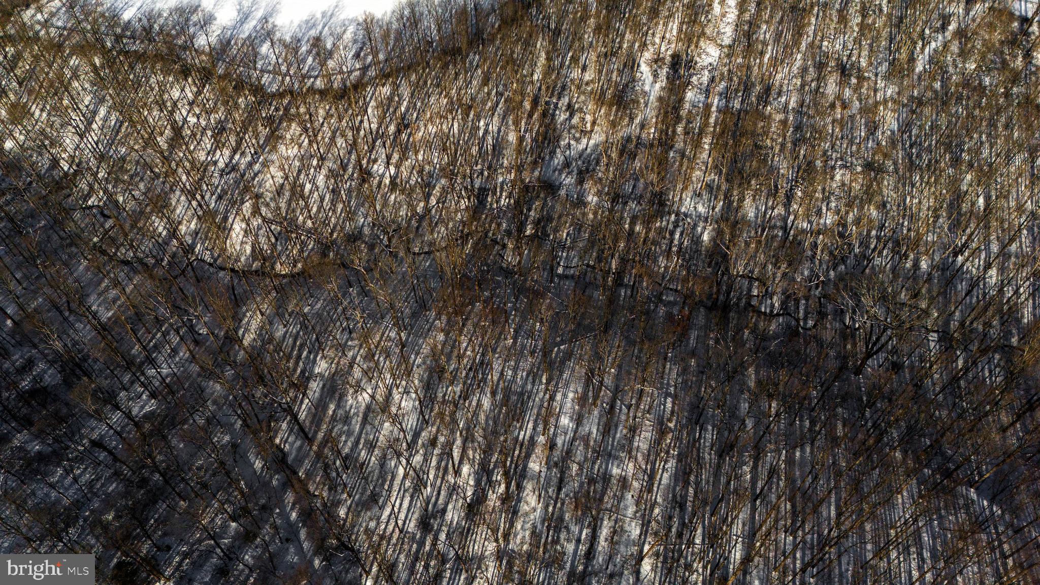 Wilson Road White Hall, MD 21161 - Photo 9 of 17