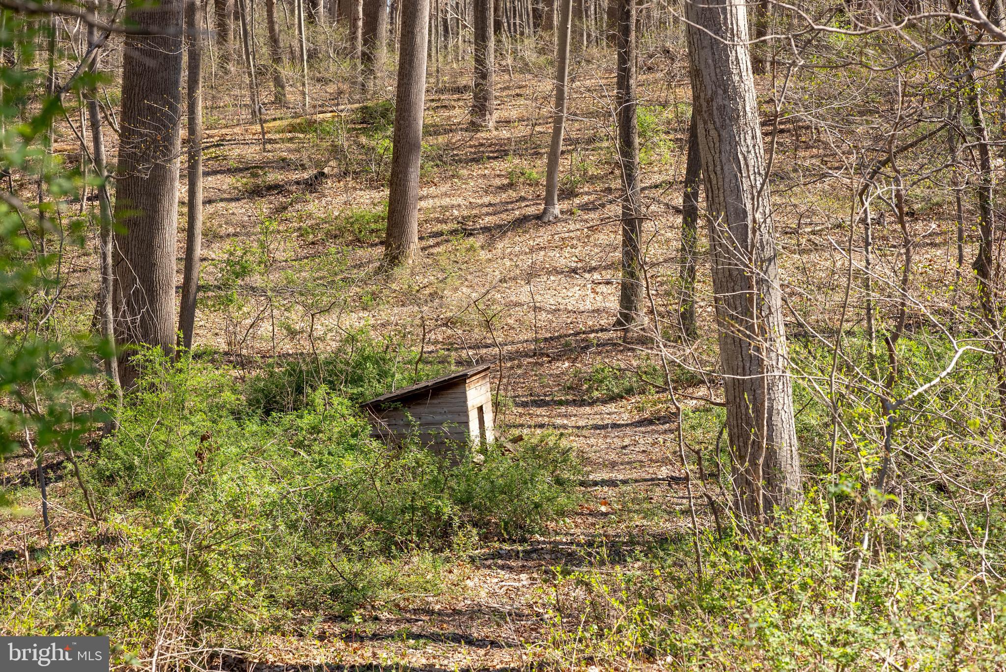 Wilson Road White Hall, MD 21161 - Photo 9 of 17