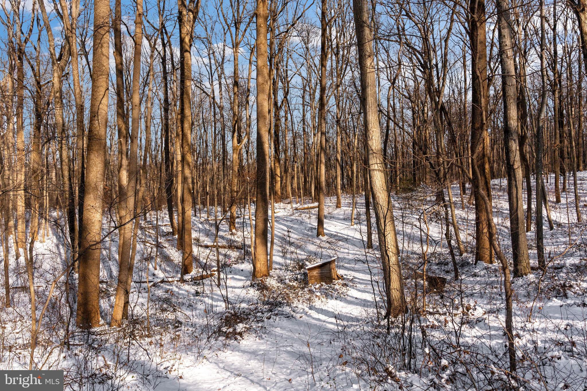 Wilson Road White Hall, MD 21161 - Photo 10 of 17