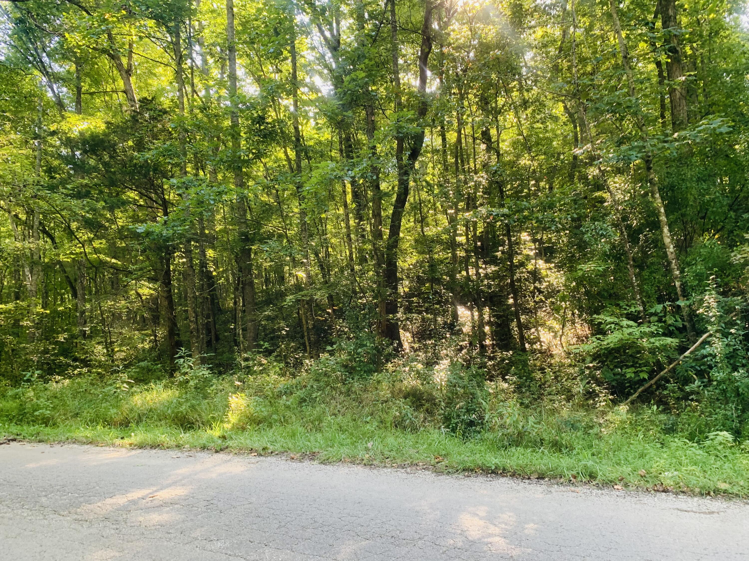 9999 West Adkins Arthur Road Somerset, KY 42501 - Photo 8 of 24 E918D7E5-88E0-48CB-850E-66F3C6D0860B