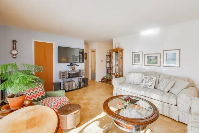 a living room with furniture a couch and a potted plant