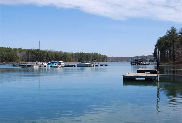 a view of lake with boats