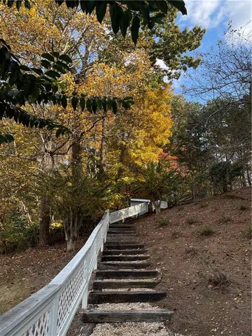 a view of a yard with plants and trees