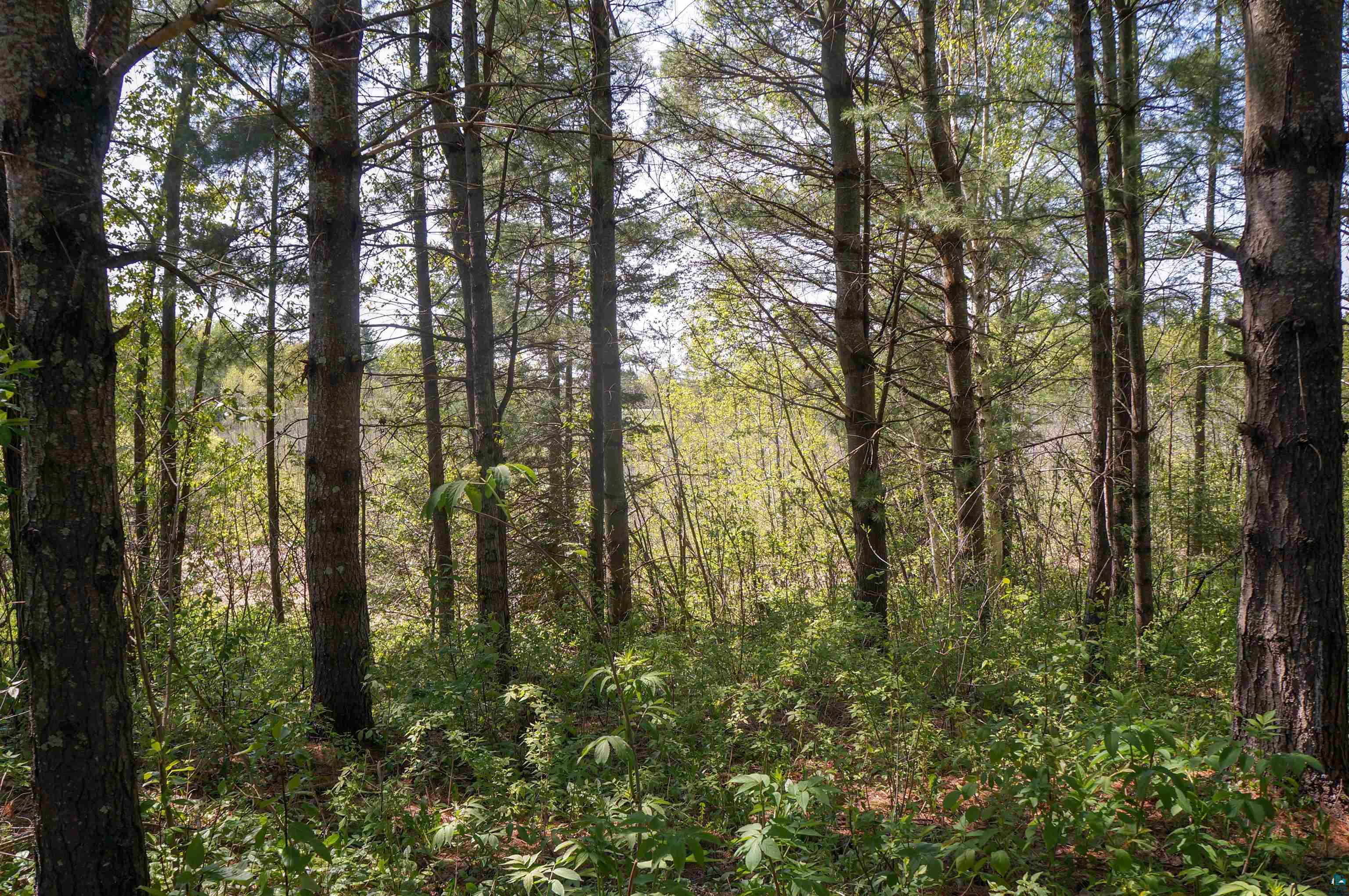 4471 Normanna Road Duluth, MN 55803 - Photo 12 of 31