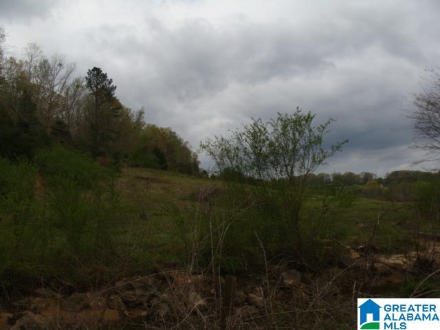 406 Caffe Ridge, Unit PARCEL Woodstock, AL 35188 - Photo 26 of 30