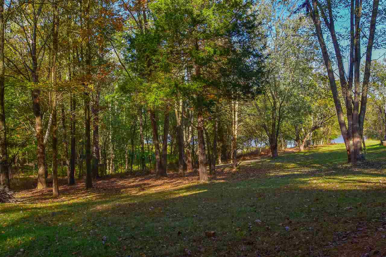 56-acres Gilmore Ridge Road Nashville, IN 47448 - Photo 3 of 14