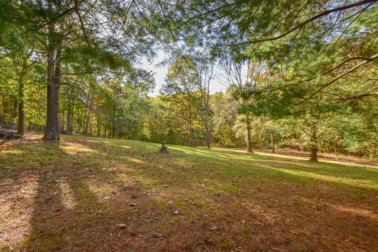 56-acres Gilmore Ridge Road Nashville, IN 47448 - Photo 4 of 14