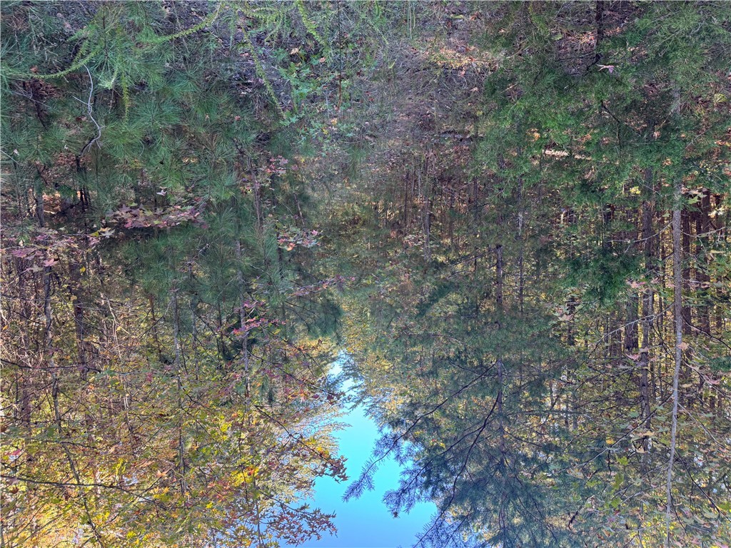 4 Horseshoe Pointe Drive Iva, SC 29655 - Photo 11 of 13