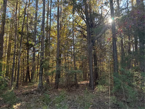 $65,000 | 4 Horseshoe Pointe Drive, Iva, SC 29655