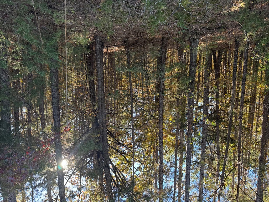 4 Horseshoe Pointe Drive Iva, SC 29655 - Photo 12 of 13