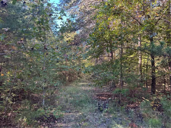 $65,000 | 4 Horseshoe Pointe Drive, Iva, SC 29655