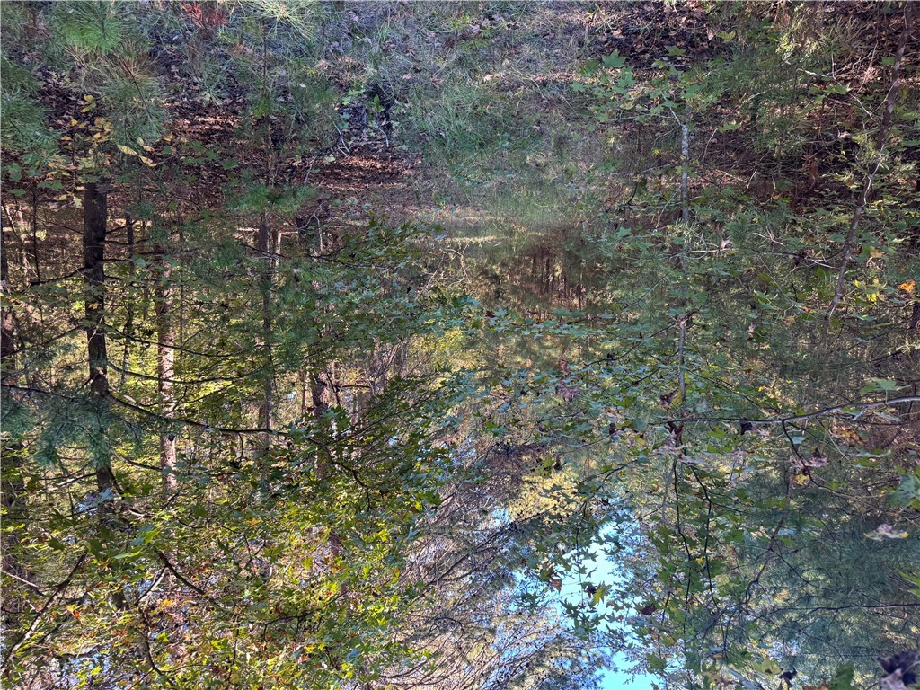 4 Horseshoe Pointe Drive Iva, SC 29655 - Photo 13 of 13