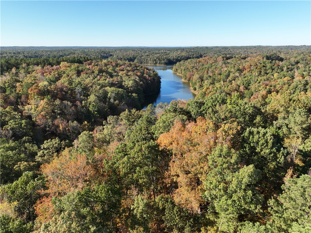 4 Horseshoe Pointe Drive Iva, SC 29655 - Photo 3 of 13