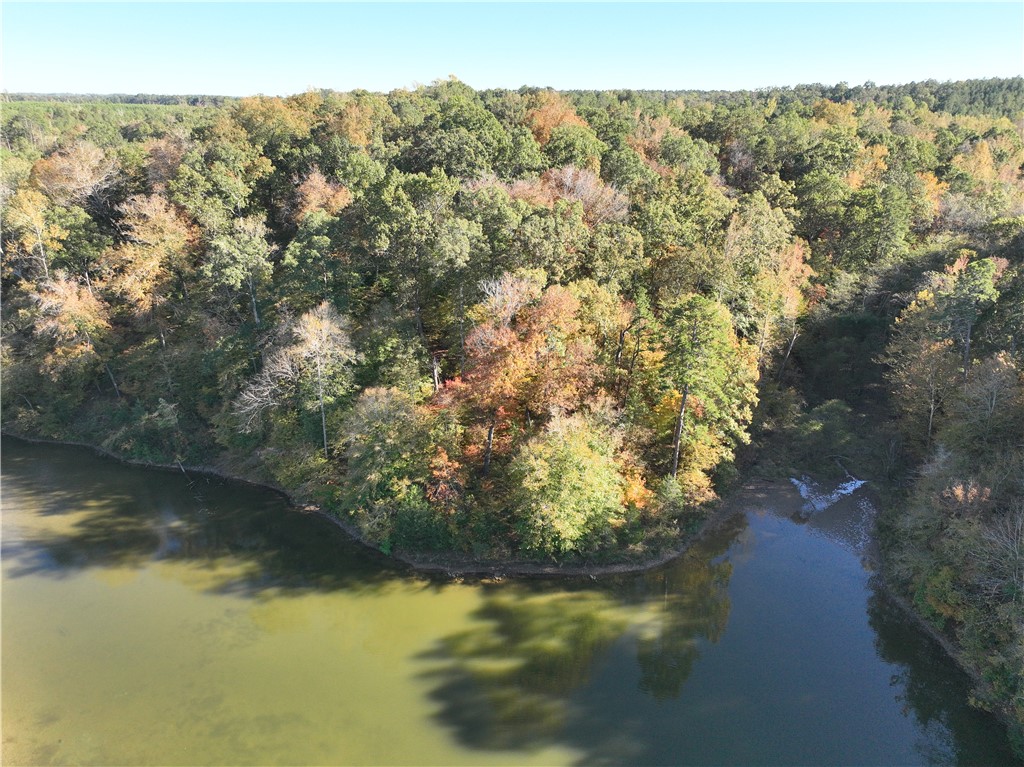 4 Horseshoe Pointe Drive Iva, SC 29655 - Photo 7 of 13