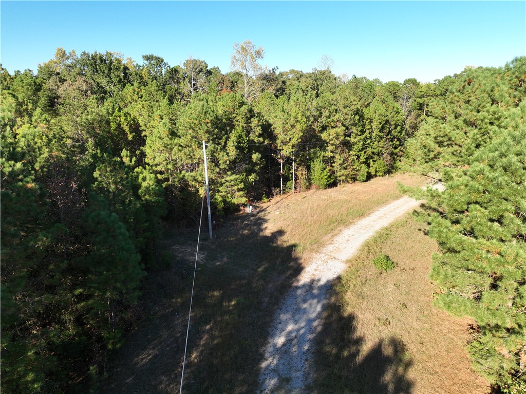 4 Horseshoe Pointe Drive Iva, SC 29655 - Photo 8 of 13