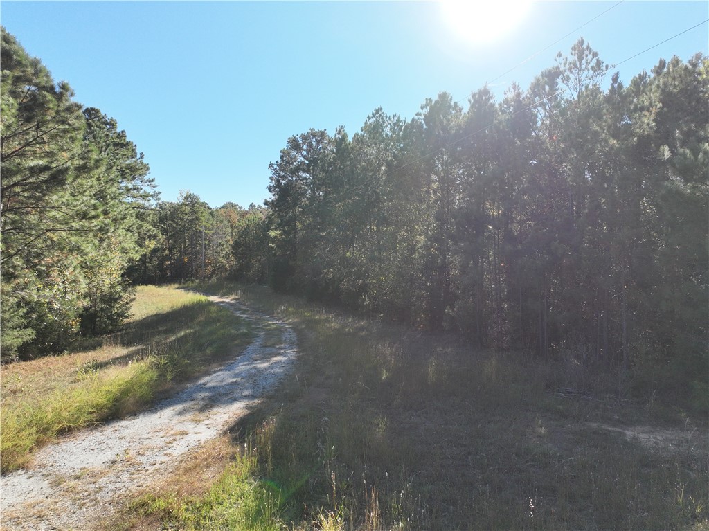 4 Horseshoe Pointe Drive Iva, SC 29655 - Photo 10 of 13