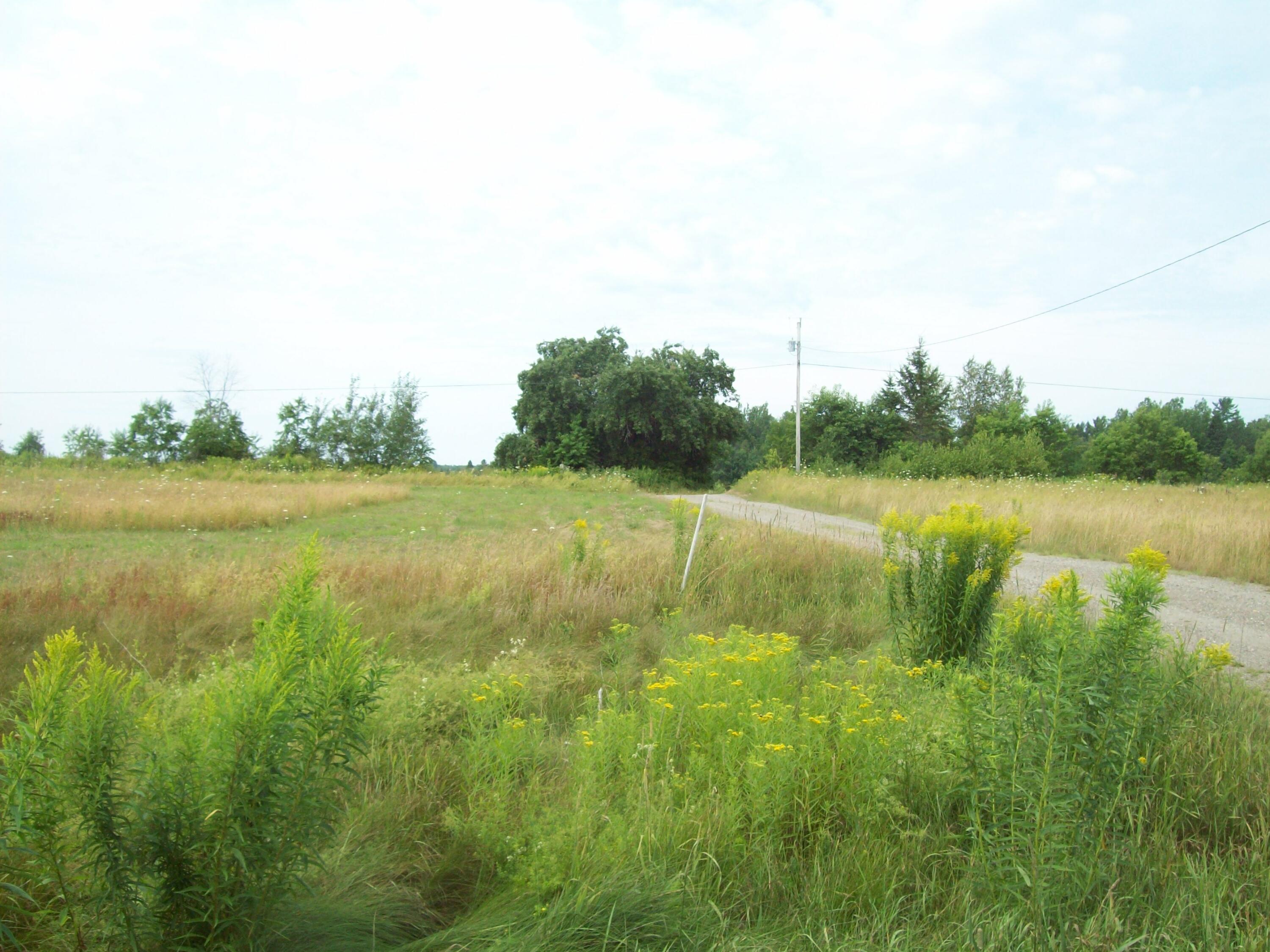 121 Town Line Road Springfield, ME 04487 - Photo 29 of 29 100_2985