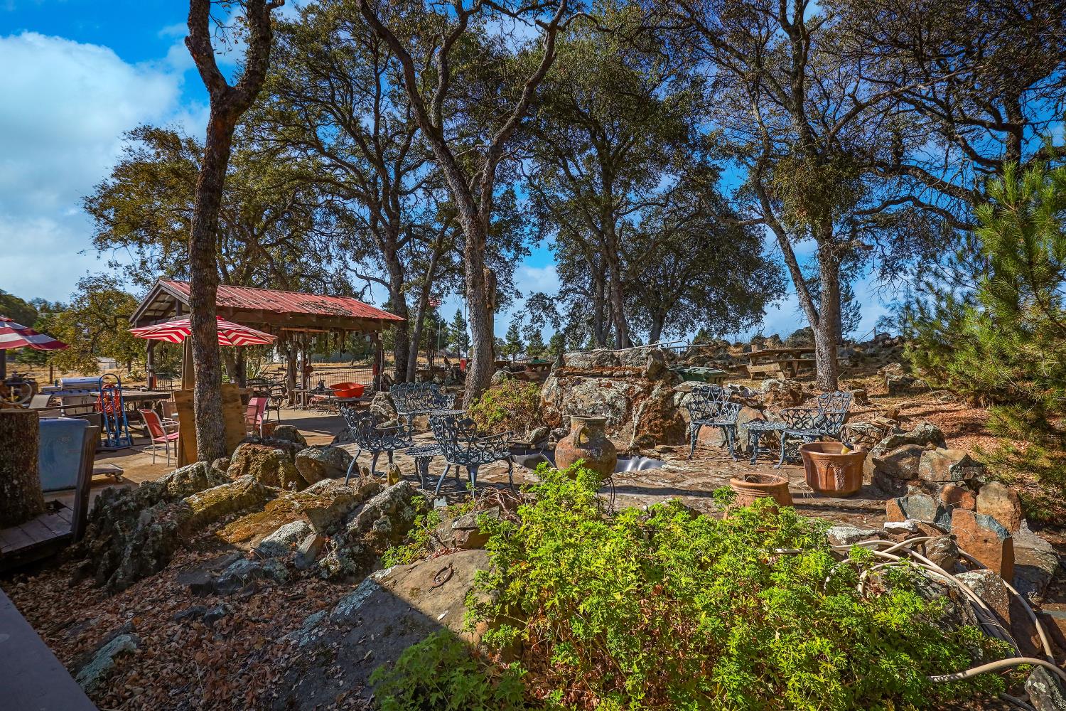 7080 Gwin Street Valley Springs, CA 95252 - Photo 56 of 96 a view of outdoor space with lots of trees