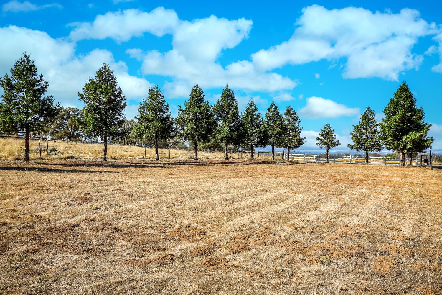 7080 Gwin Street Valley Springs, CA 95252 - Photo 60 of 96