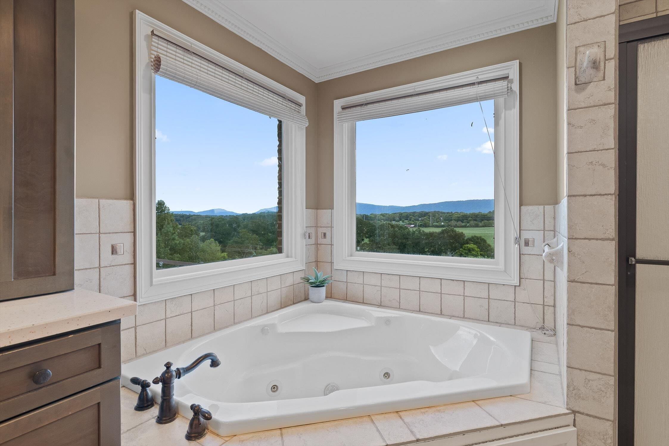 1020 Thomas Road Benton, TN 37307 - Photo 59 of 222 197-Thomas-197