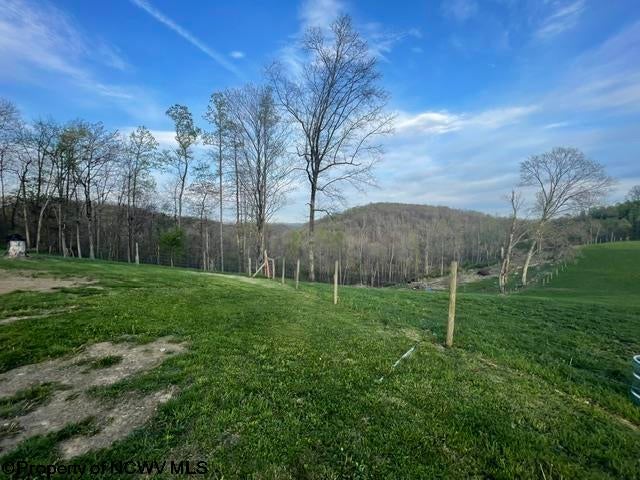 720 Fairview Road Independence, WV 26374 - Photo 31 of 45 Gallery Image 31